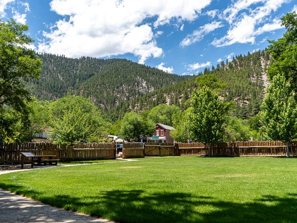 Lush green grass in foreground at Mormon Station State Park in Genoa Nevada. Tree covered mountains in the background.